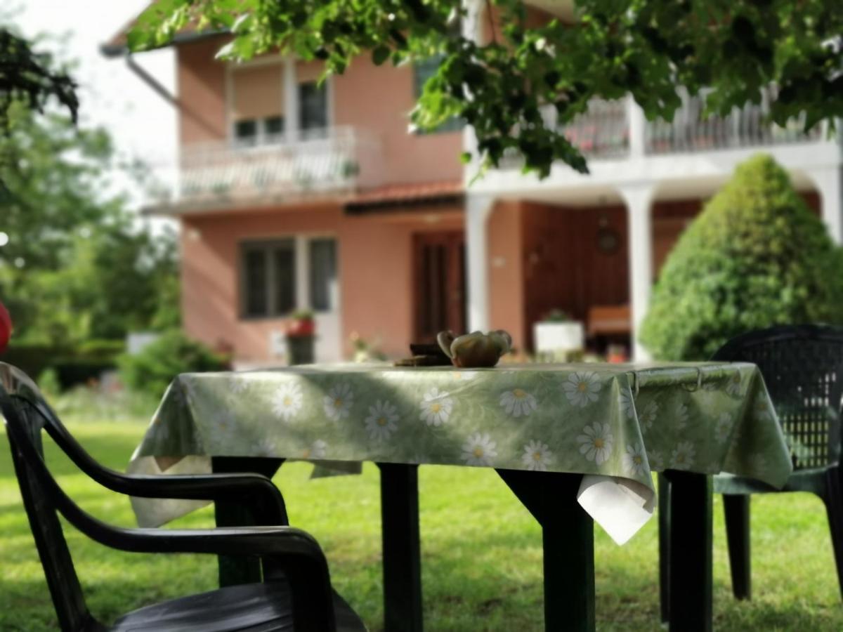 Apartments Domacinstvo Nikolic Valjevo Esterno foto