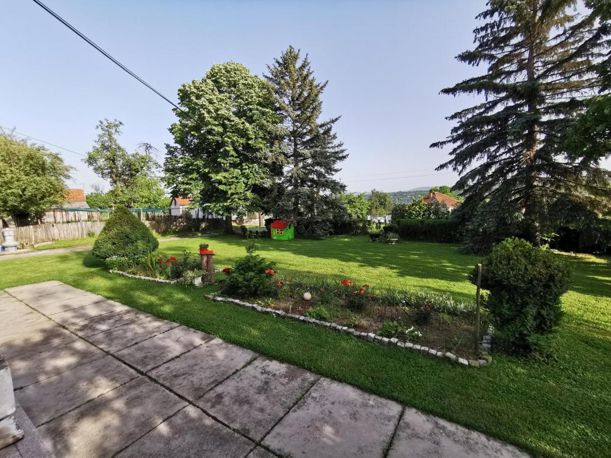 Apartments Domacinstvo Nikolic Valjevo Esterno foto