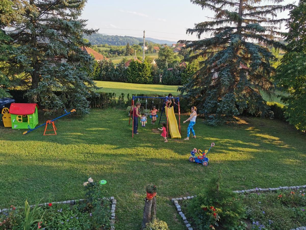 Apartments Domacinstvo Nikolic Valjevo Esterno foto