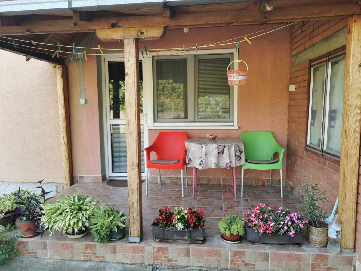 Apartments Domacinstvo Nikolic Valjevo Esterno foto