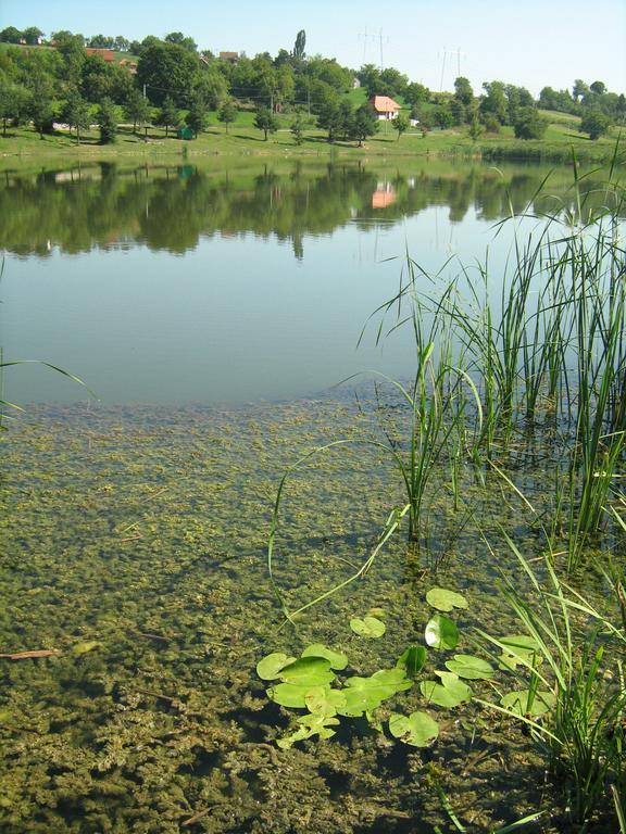 Apartments Domacinstvo Nikolic Valjevo Esterno foto