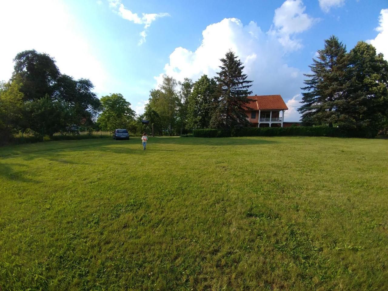 Apartments Domacinstvo Nikolic Valjevo Esterno foto